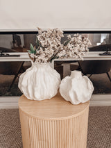 Small reef pot