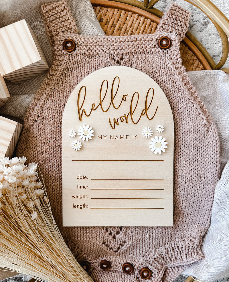 “Hello world" arch announcement plaque with white acrylic daisies